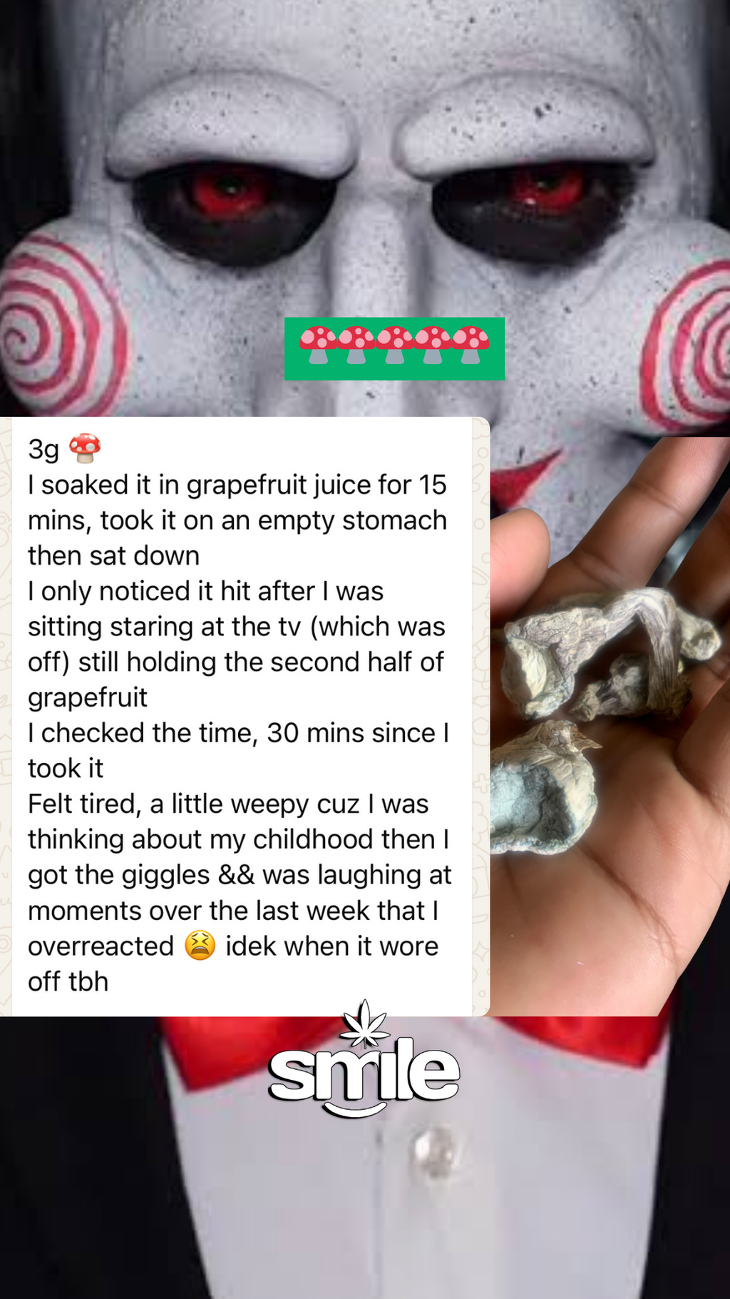 🍄 Albino Mushrooms