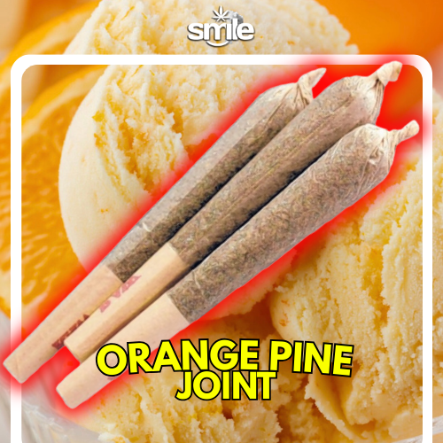 🍊🍍 ORANGE PINE JOINT
