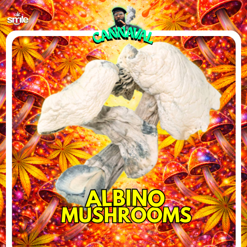 🍄 Albino Mushrooms