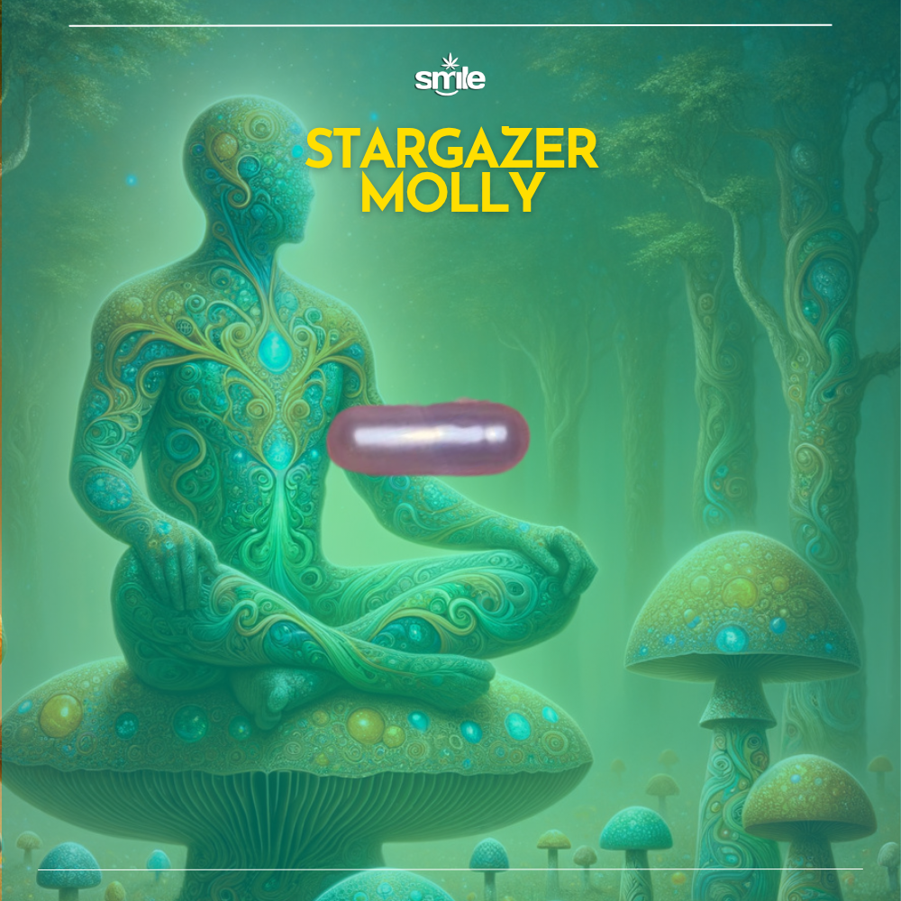 💫 STARGAZER MOLLY