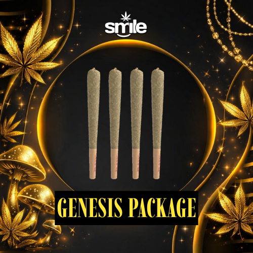 🕶️🌙 Midnight Robber Package