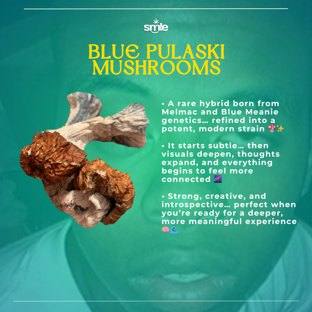 BLUE PULASKI MUSHROOMS 🍄✨