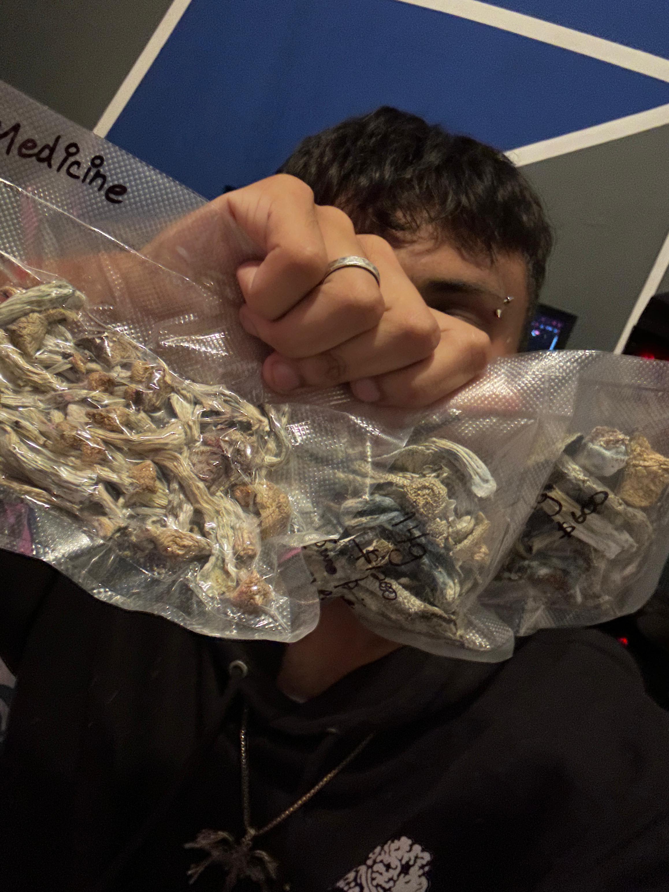 🍄🔹 BLUE ANGEL MUSHROOMS