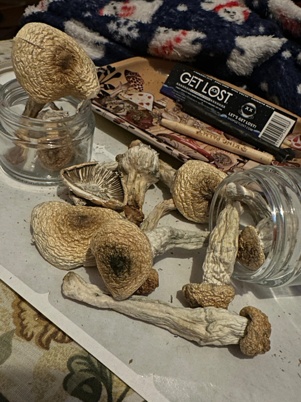 🕶️🌙 Midnight Robber Package