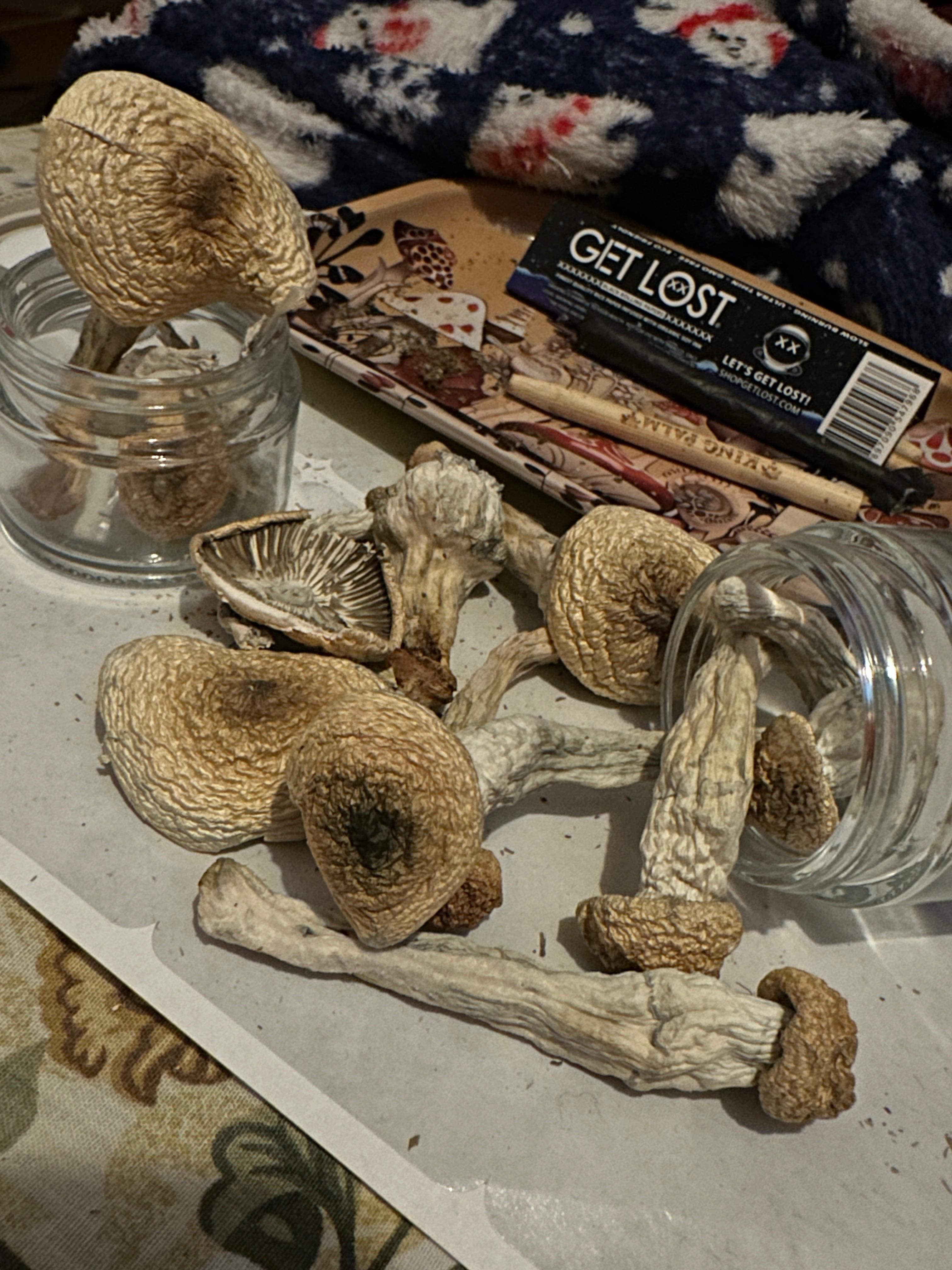 🕶️🌙 Midnight Robber Package