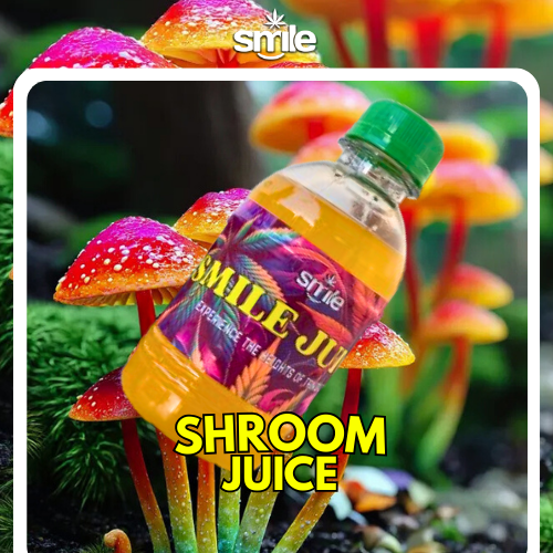 🍄🍸SHROOM JUICE