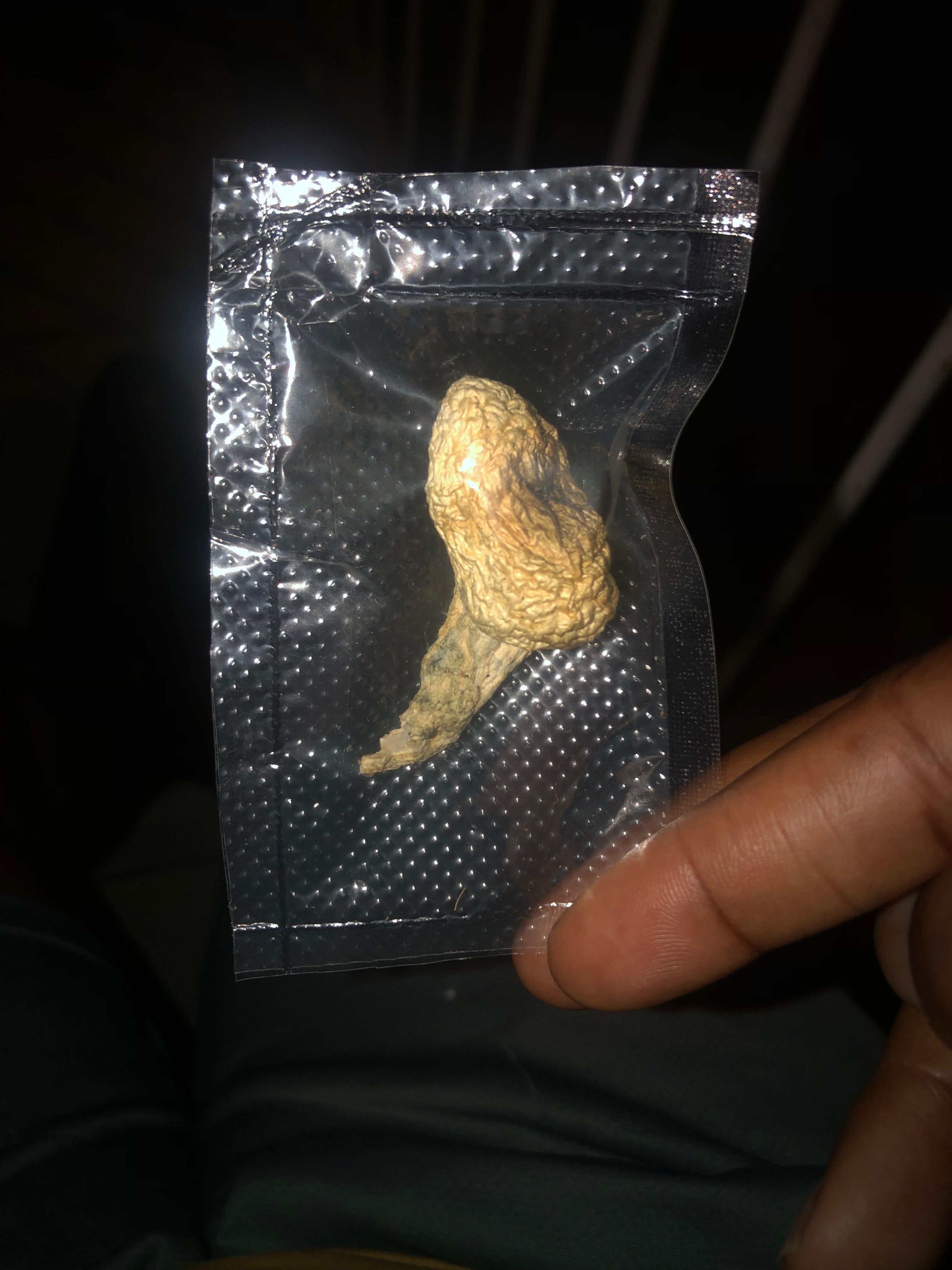 🕶️🌙 Midnight Robber Package