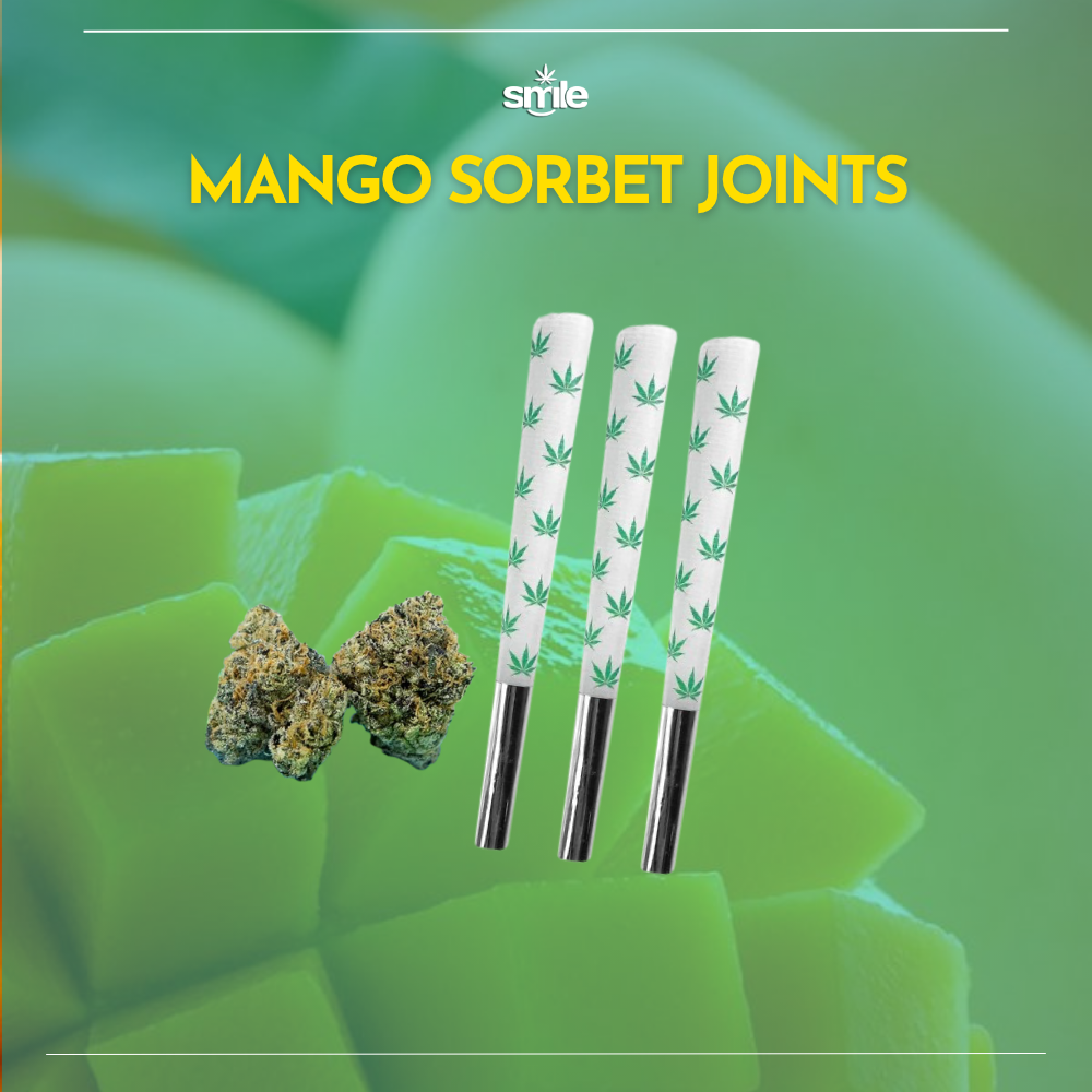 🥭 MANGO SORBET JOINTS