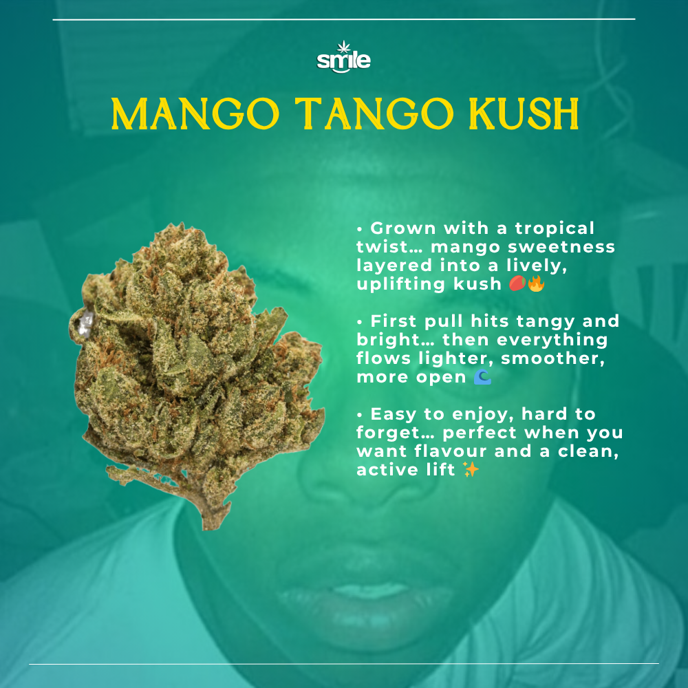 MANGO TANGO KUSH 🥭🔥