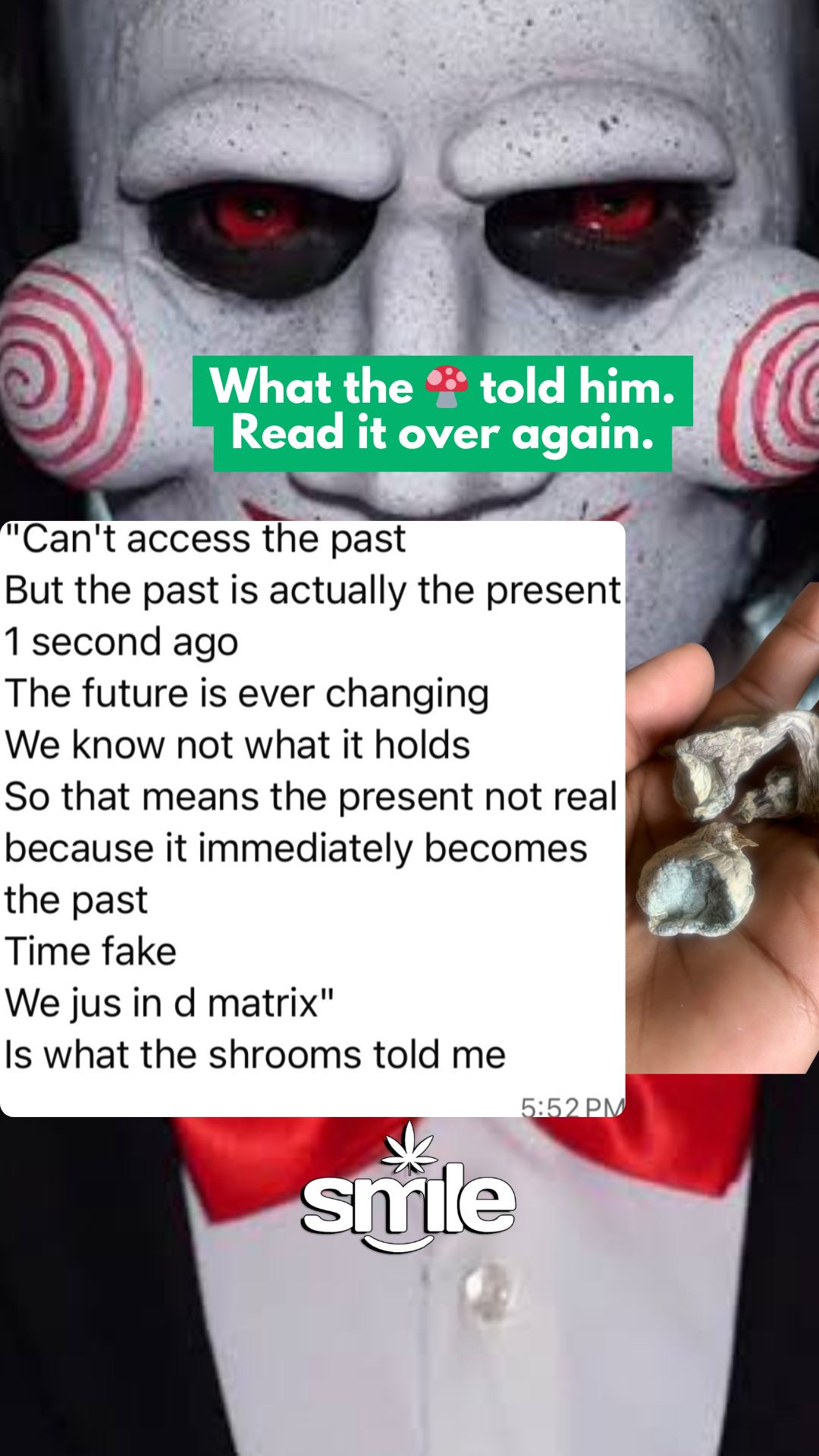 🍄🔹 BLUE ANGEL MUSHROOMS