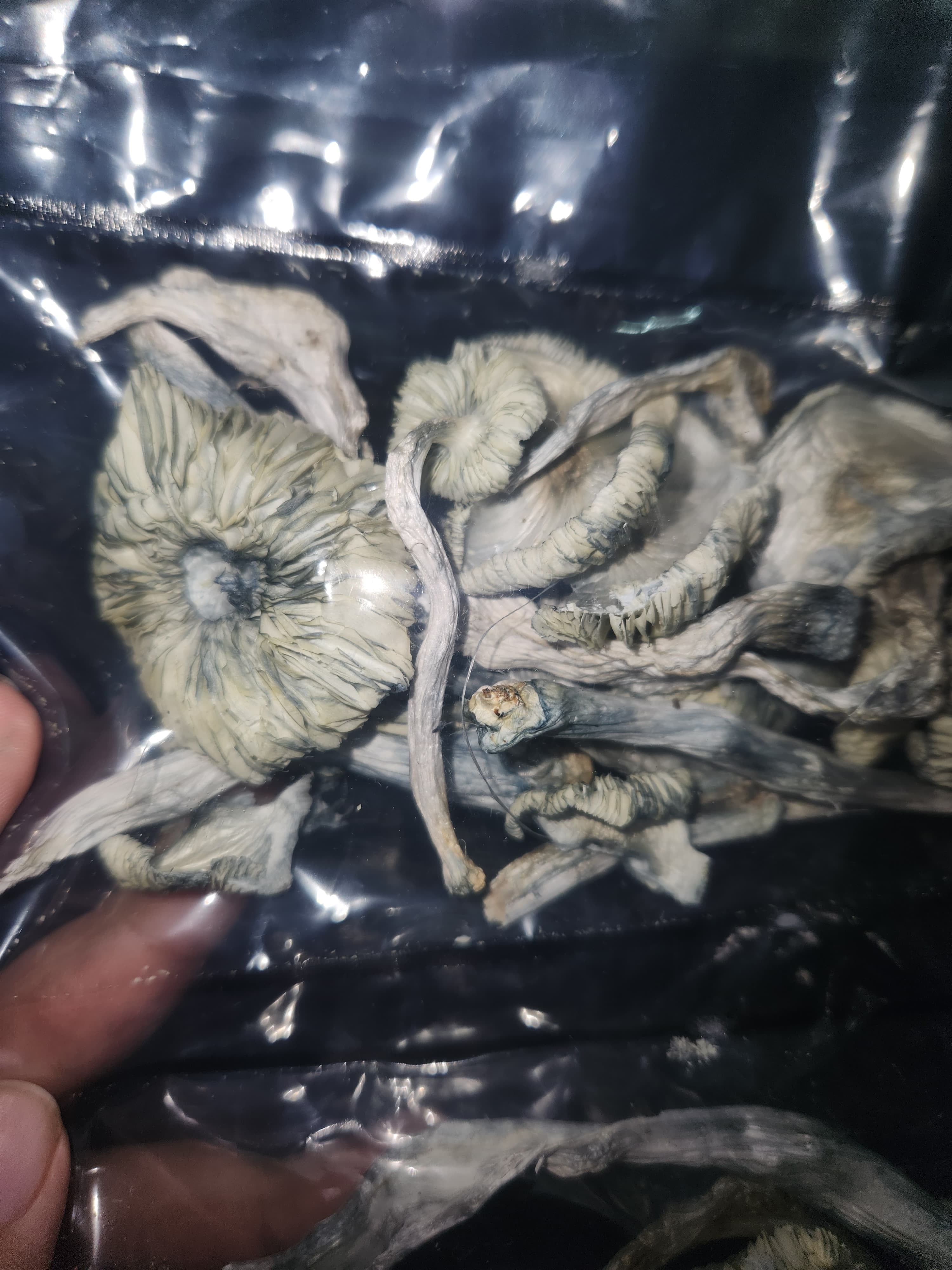 🎭🌈 Masqueraders Package