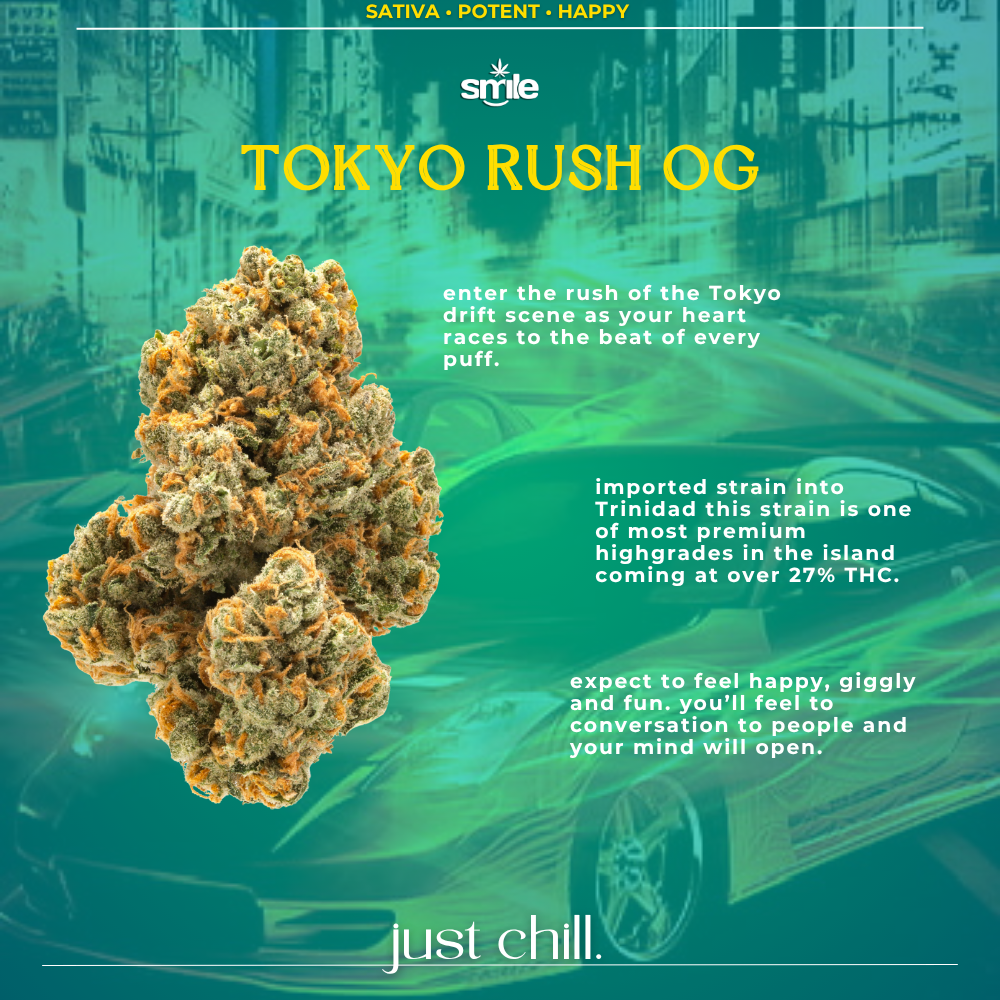 🏎️tokyo rush og