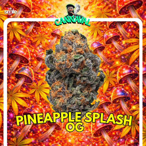 🍍 Pineapple Splash OG