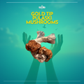 🍄 GOLD PULASKI MUSHROOMS