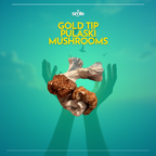 🍄 GOLD PULASKI MUSHROOMS