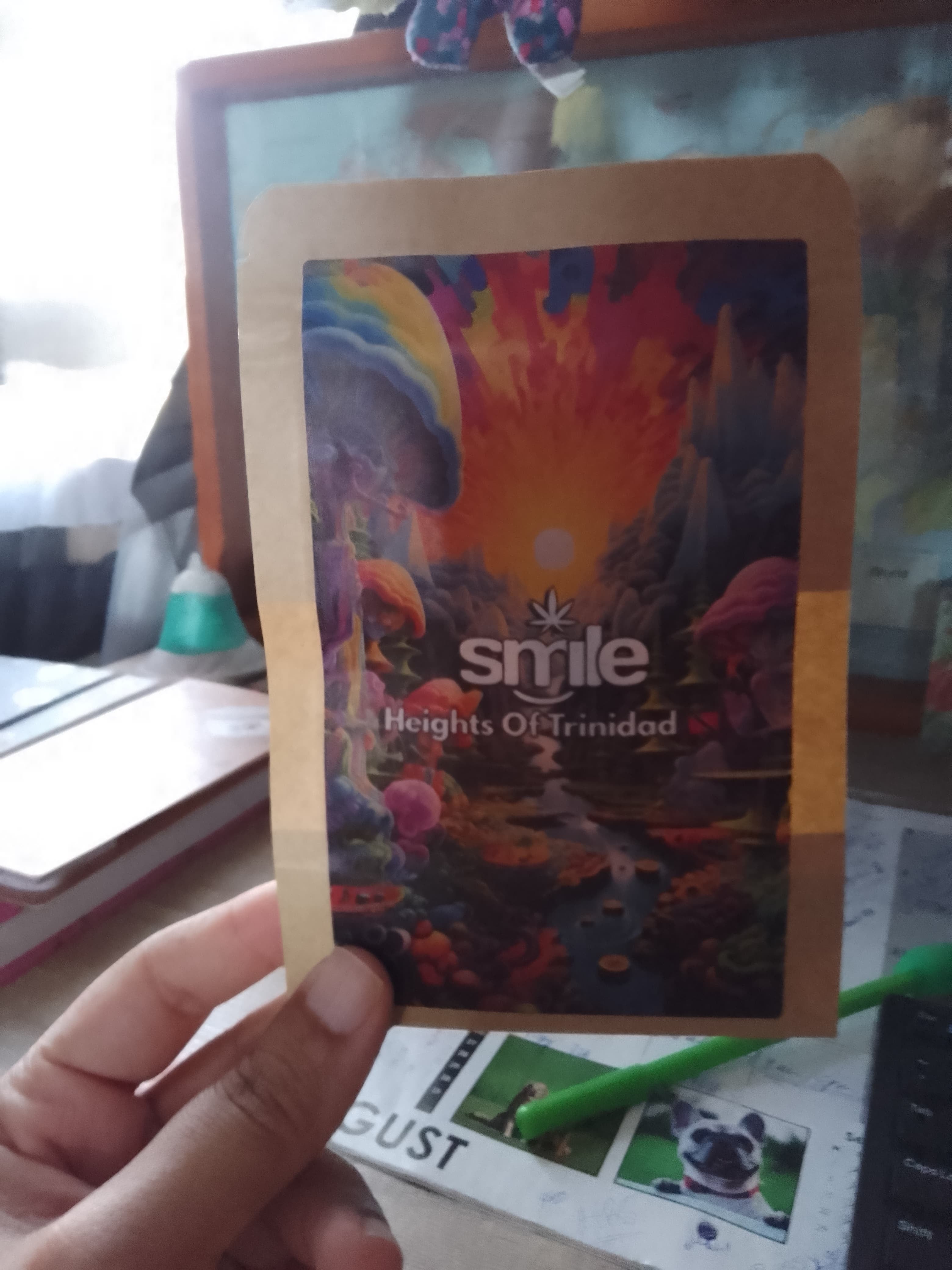 🌌💫 BACK TO MYSELF PACKAGE