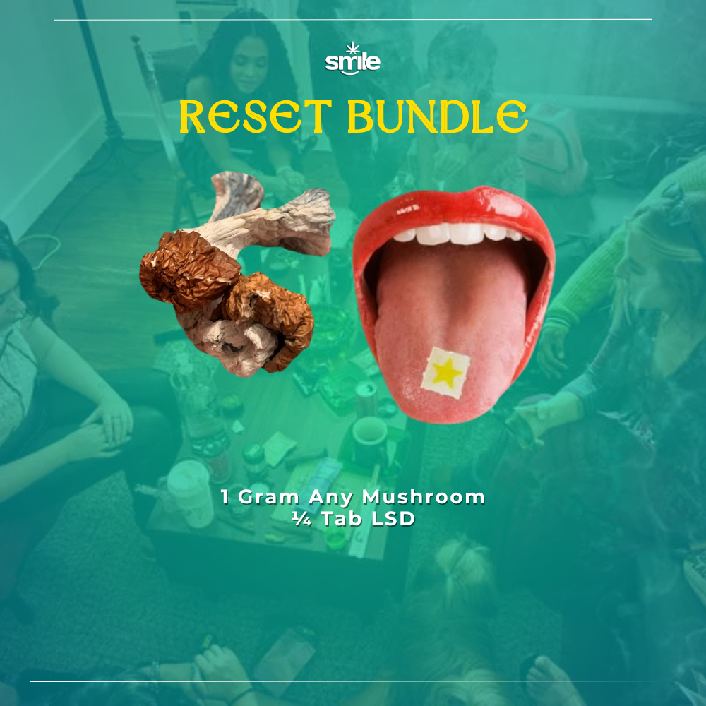 Reset Bundle 🧠