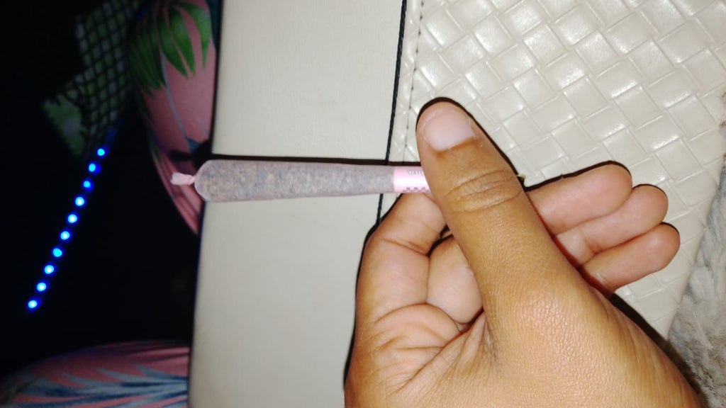 🕶️🌙 Midnight Robber Package