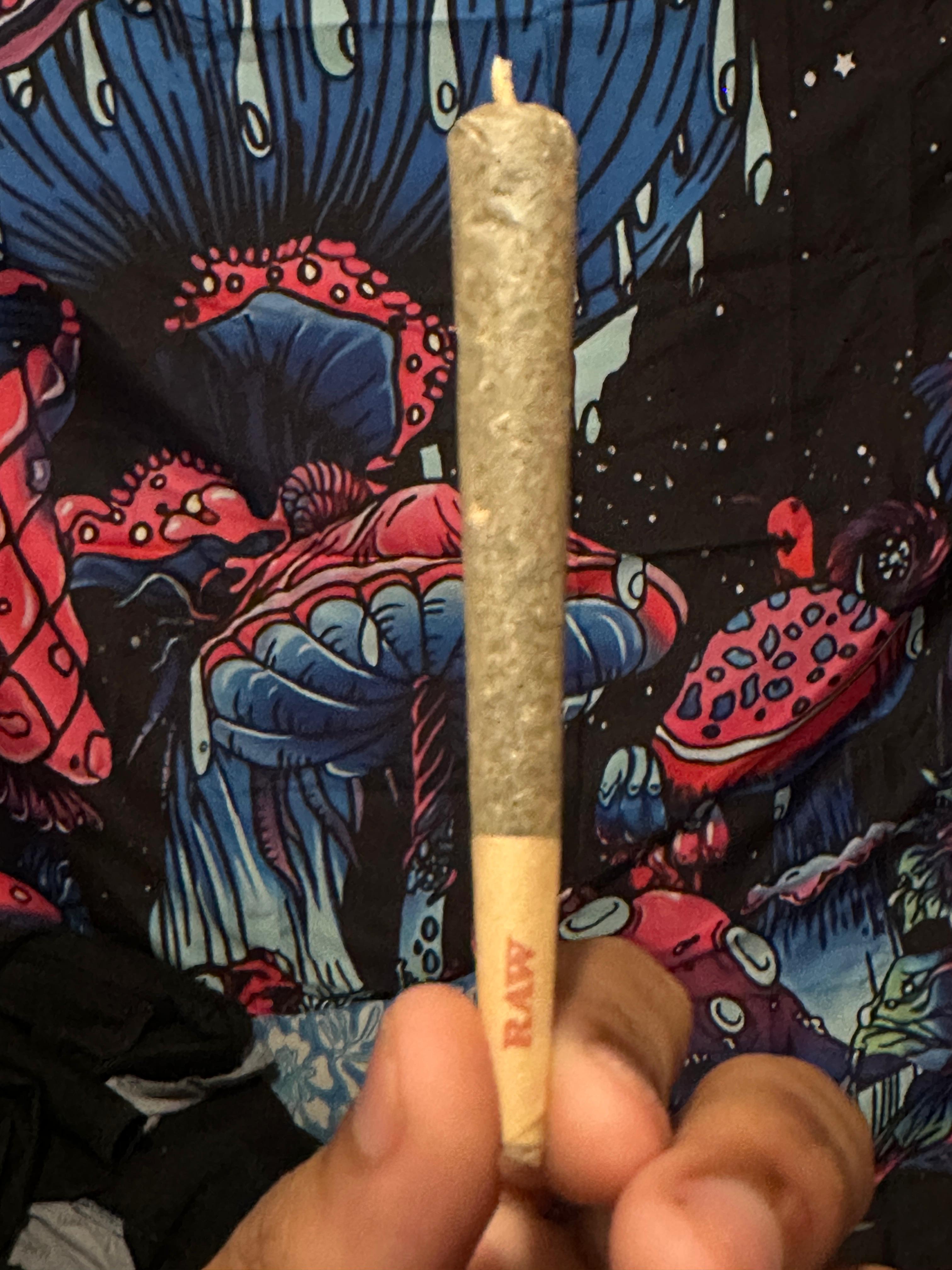 🍊🍍 ORANGE PINE JOINT