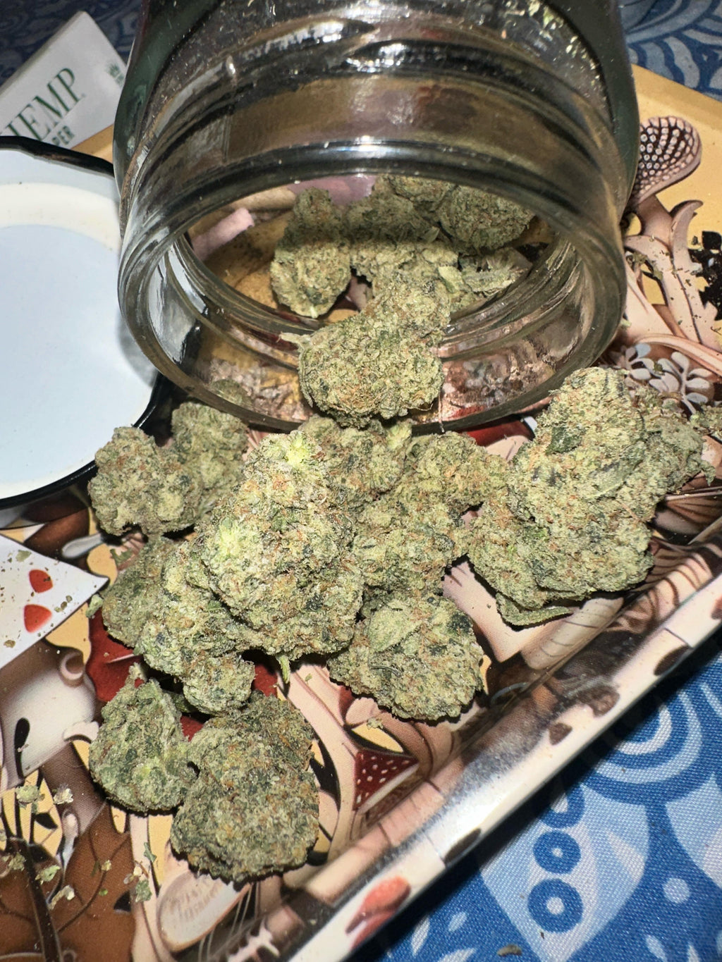 🍍 Pineapple Splash OG