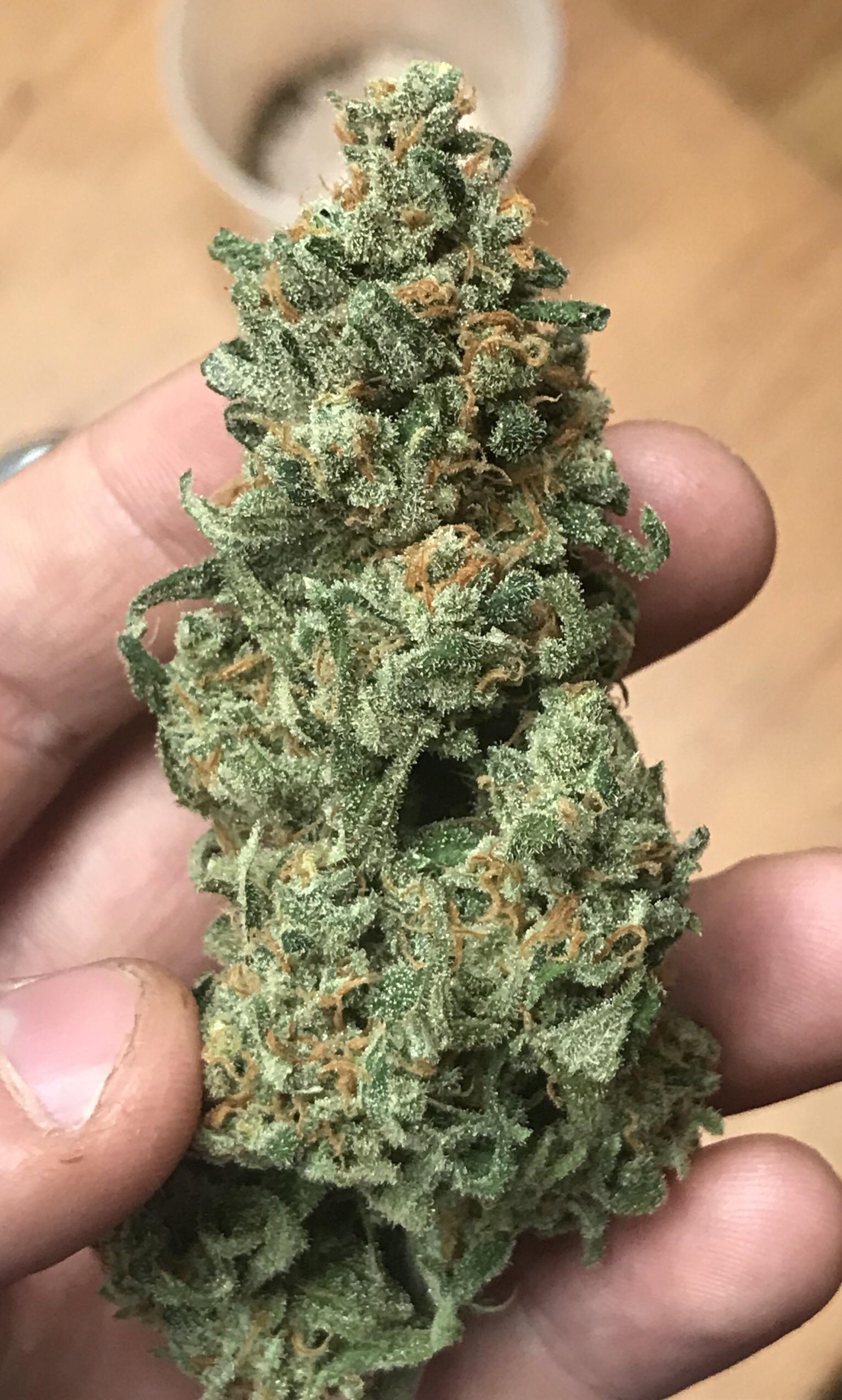 🏎️tokyo rush og