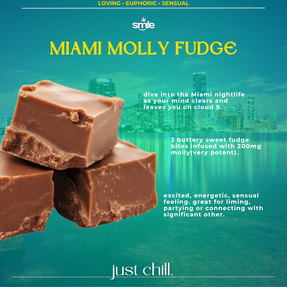 🌙miami molly fudge