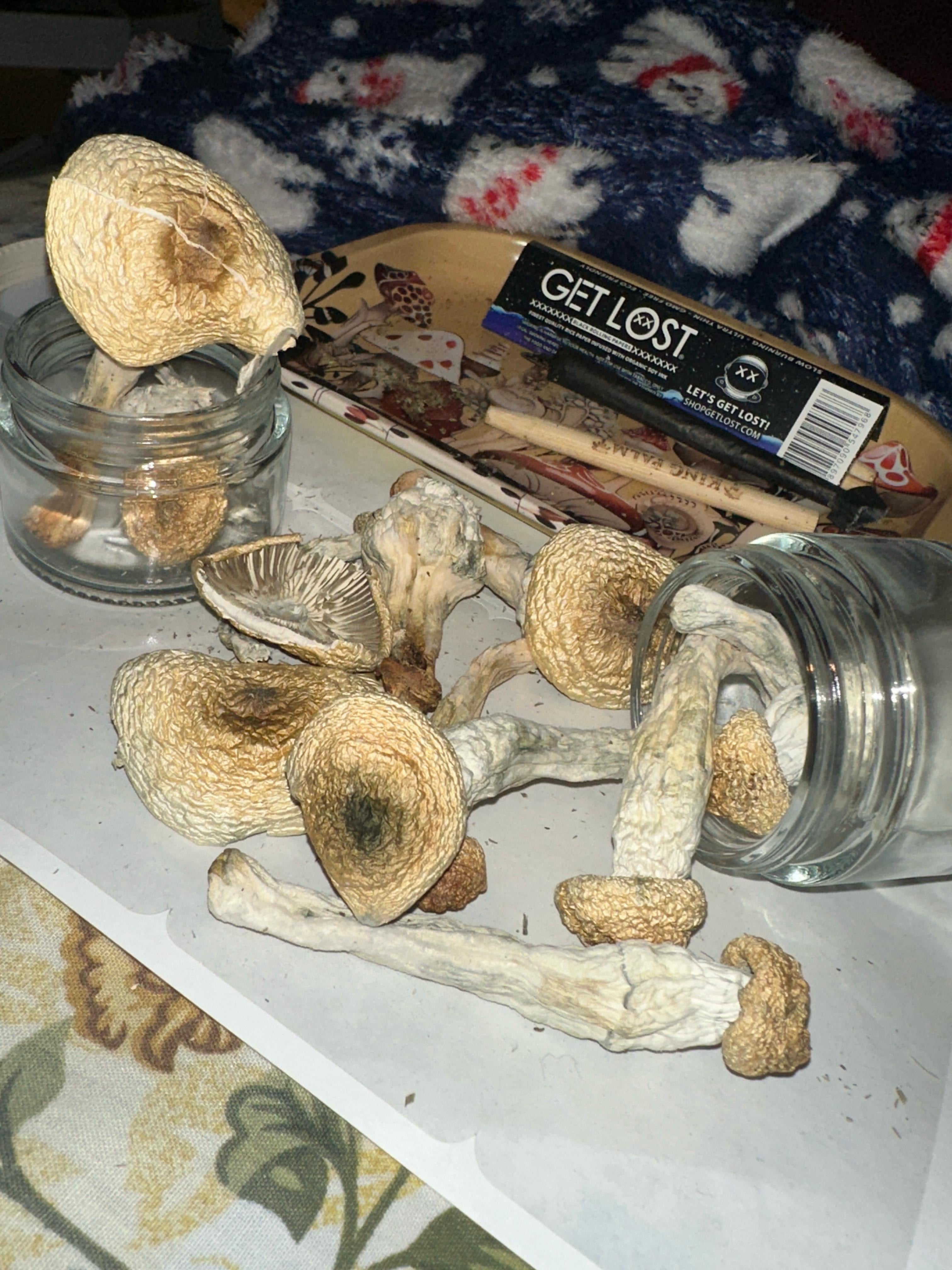 🎭🌈 Masqueraders Package