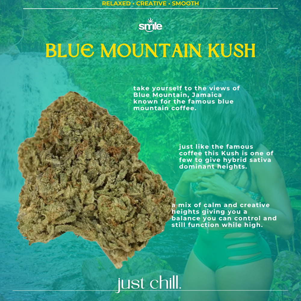 🌄blue mountain kush