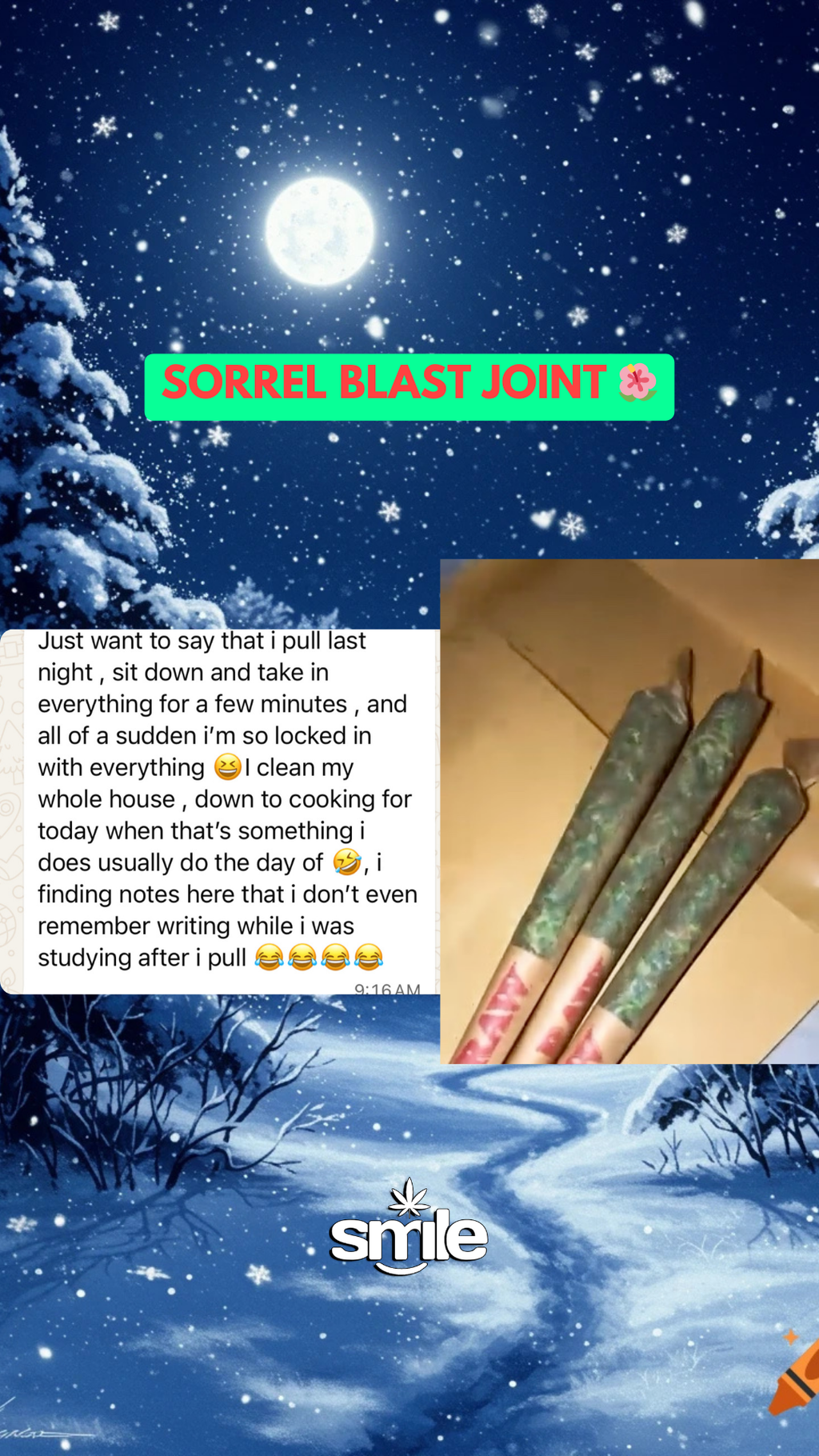 🕶️🌙 Midnight Robber Package