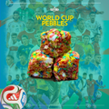 WORLD CUP PEBBLES