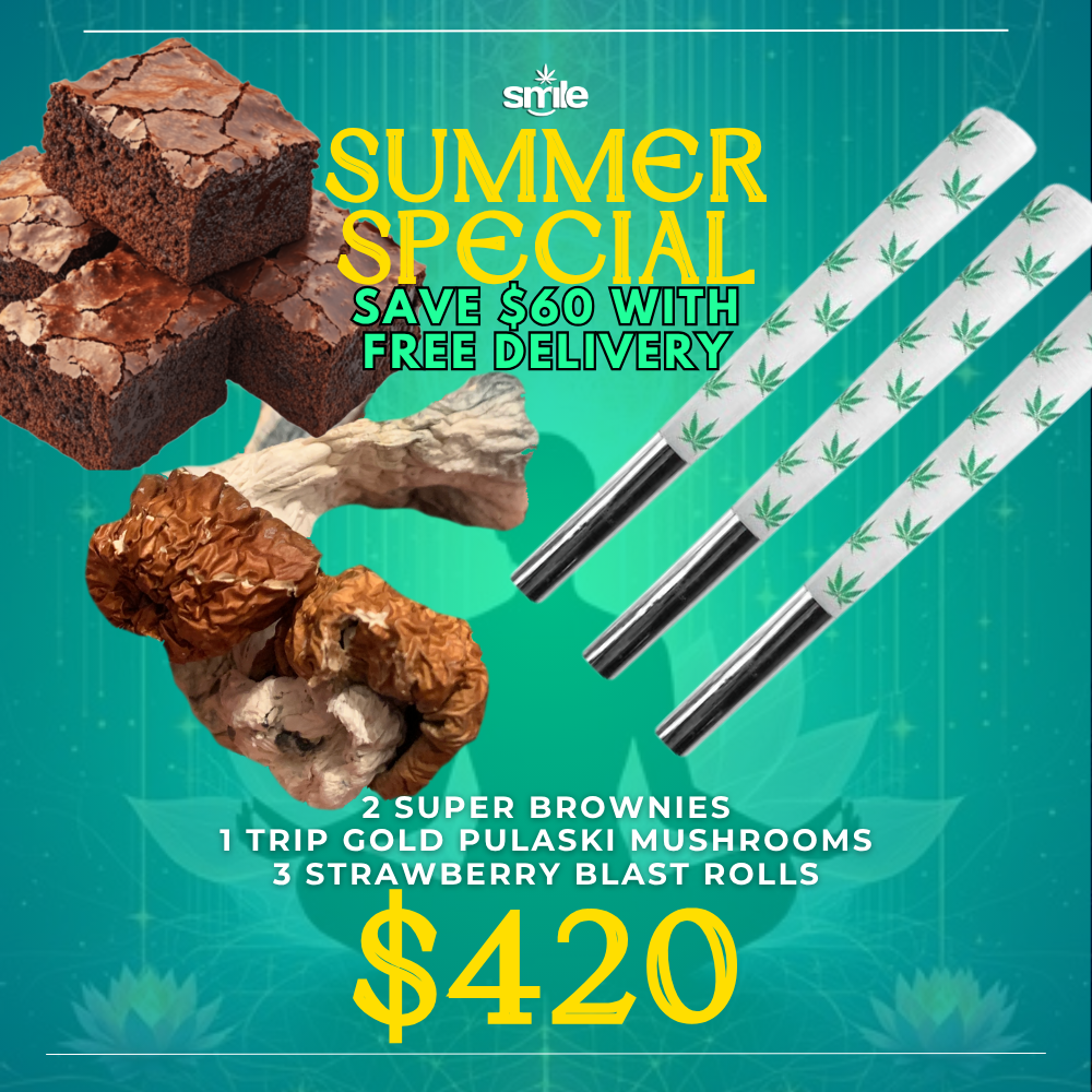 🌞🚀SUMMER SPECIAL