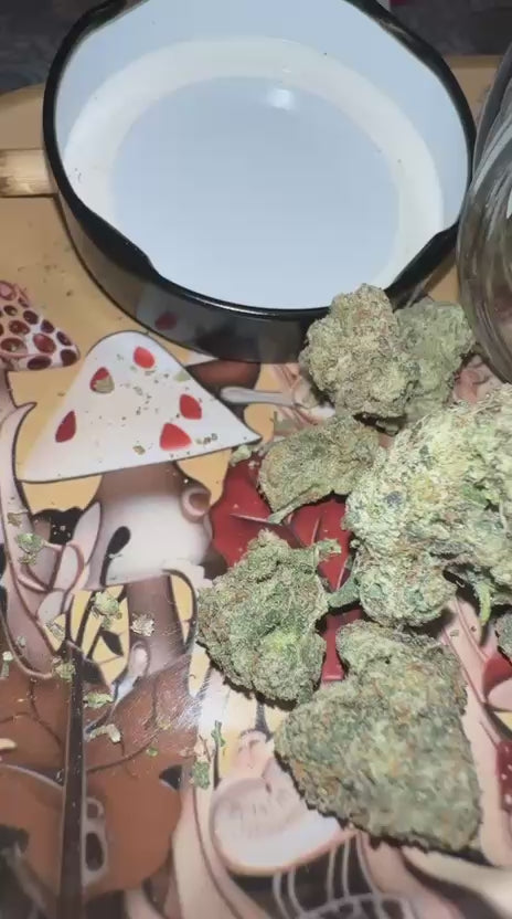 🍍 Pineapple Splash OG