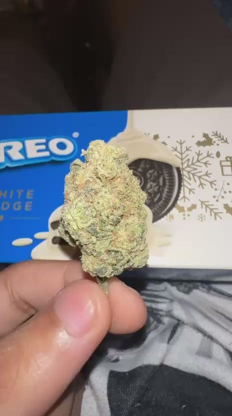 🍍 Pineapple Splash OG