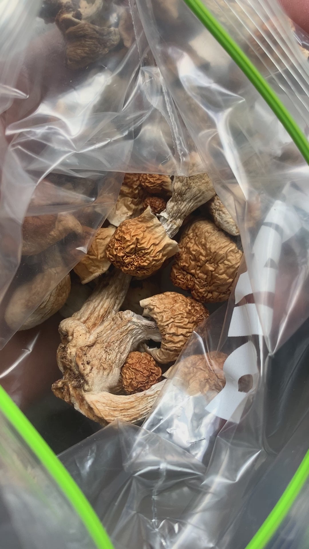 Spiritual Heights Bundle 🔮