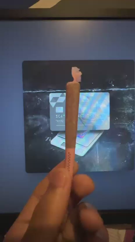 🍊🍍 ORANGE PINE JOINT