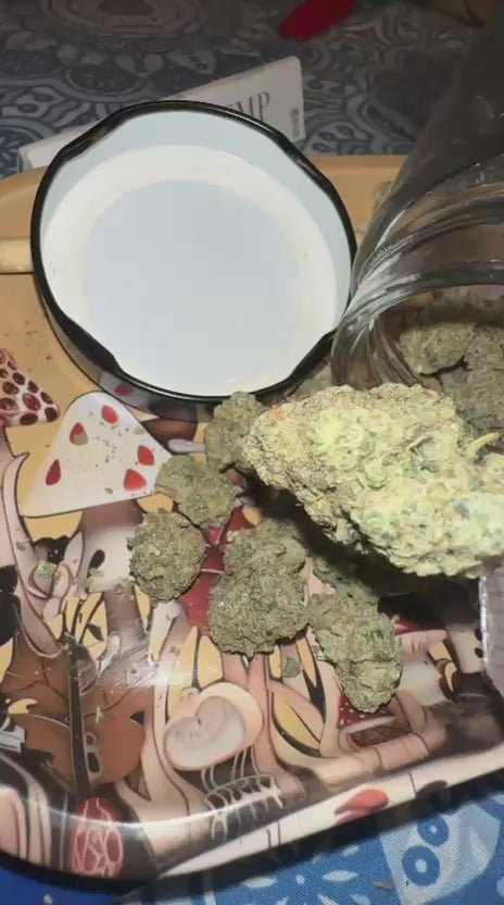 🍍 Pineapple Splash OG